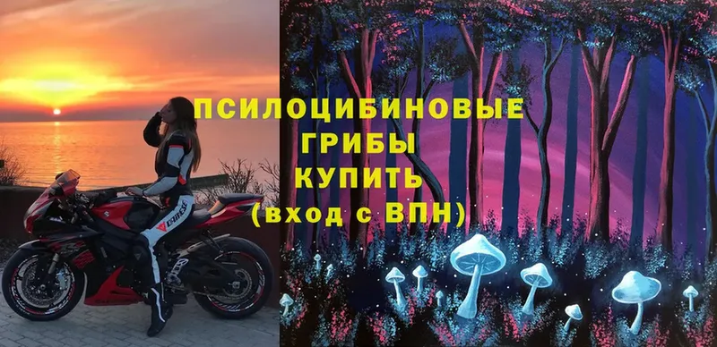 Галлюциногенные грибы MAGIC MUSHROOMS  гидра ССЫЛКА  Мурманск 